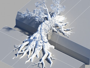 ancient tree 3D मॉडल