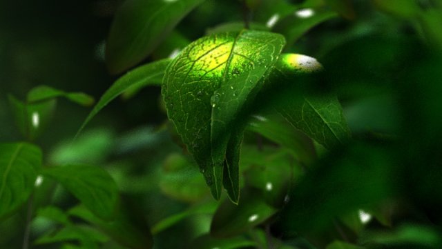 water droplets Modelo 3D .c4d .max .obj .3ds .fbx .stl .blend 