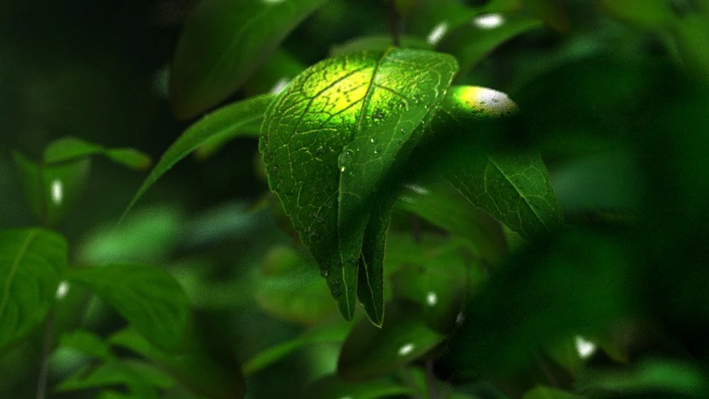 water droplets 3D Model .c4d .max .obj .3ds .fbx .stl .blend