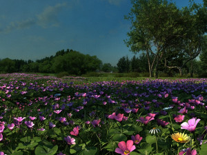 wetlands 3D-Modell