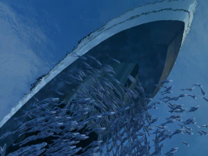 escuela de peces Modelo 3D