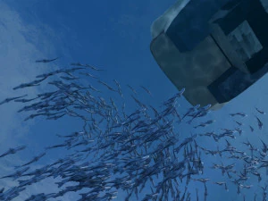 escuela de peces Modelo 3D