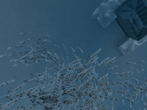 fish school Modello 3D