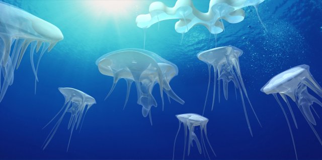 Jellyfish 3D 模型 .c4d .max .obj .3ds .fbx .stl .blend