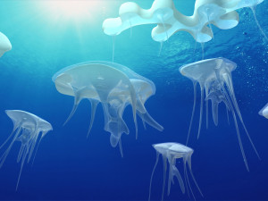 jellyfish Modelo 3D
