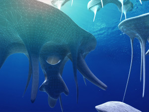 Jellyfish 3D 模型