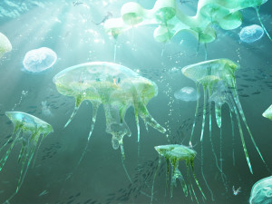 Jellyfish 3D 模型
