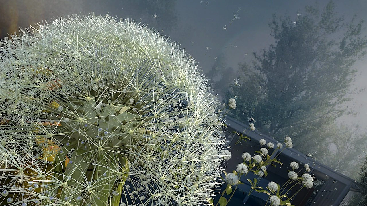 dandelion 3D Model .c4d .max .obj .3ds .fbx .stl .blend 