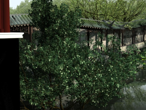 garden Modèle 3D