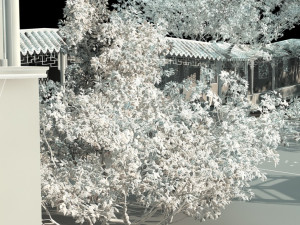 garden Modèle 3D