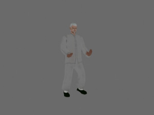 tai chi Model 3D