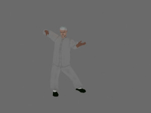 tai chi Model 3D