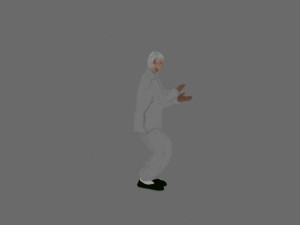tai chi Model 3D