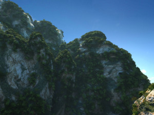 tarzan 3Dモデル