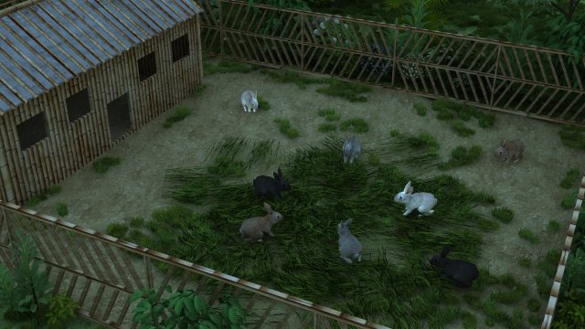 rabbit Model 3D .c4d .max .obj .3ds .fbx .stl .blend 