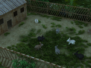 rabbit Modelo 3D