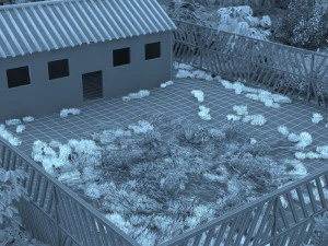 rabbit 3D Model
