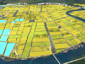 field Modelo 3D