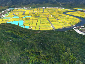 field Model 3D