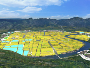 field Model 3D