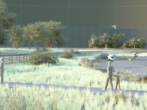 shenzhen architecture 3D Model