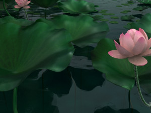lotus pond 3D-Modell