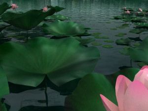 lotus pond 3D 모델
