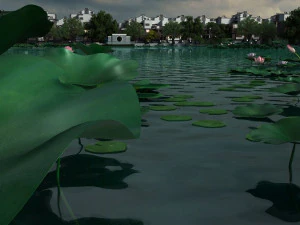 蓮の池 3Dモデル
