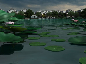 lotus pond 3D 모델