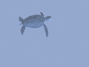 tortoise 3D Модель