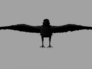 raven 3D Model
