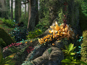 rainforest 3D Model