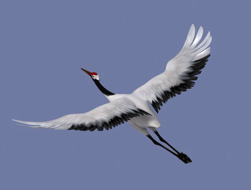 crane 3D Model .c4d .max .obj .3ds .fbx .stl .blend 