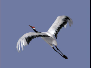 crane 3D Model