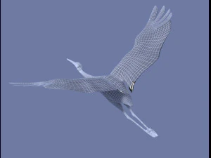 crane 3D Model