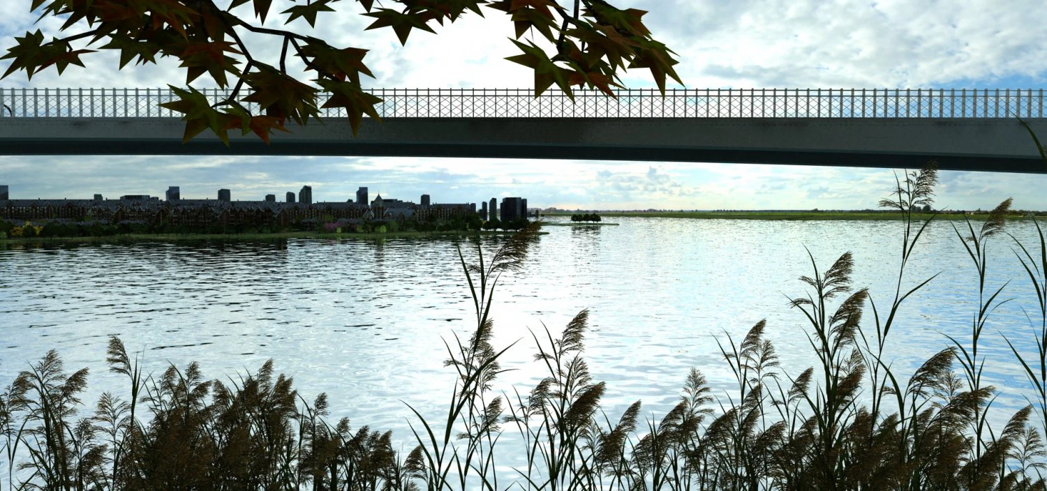 wetlands 3D Model .c4d .max .obj .3ds .fbx .stl .blend 