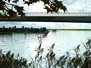 wetlands 3D-Modell