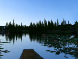 lotus pond 3D Model