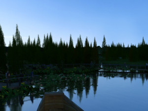 lotus pond Modello 3D