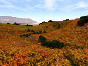 outskirts 3D 模型
