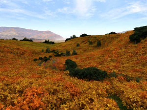 outskirts 3D Model