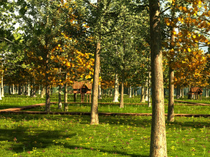 forest chalet Modelo 3D