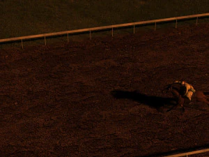 horse racing 3D Model