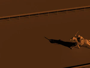 horse racing 3D Model