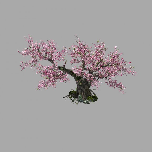 peach blossom 3Dモデル .c4d .max .obj .3ds .fbx .stl .blend 