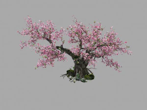 복숭아꽃 3D 모델