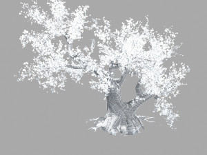 peach blossom 3Dモデル