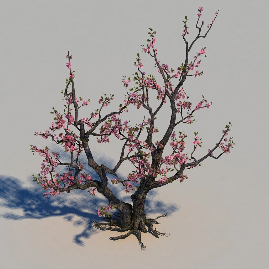 peach blossom 3D Model .c4d .max .obj .3ds .fbx .stl .blend 