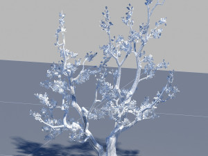 peach blossom 3D 模型
