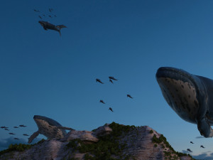 school of fish 3D Model
